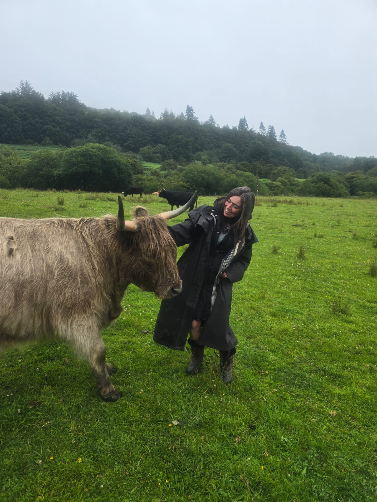 Claire with a Highland cow